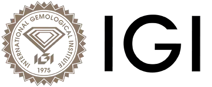 IGI Logo